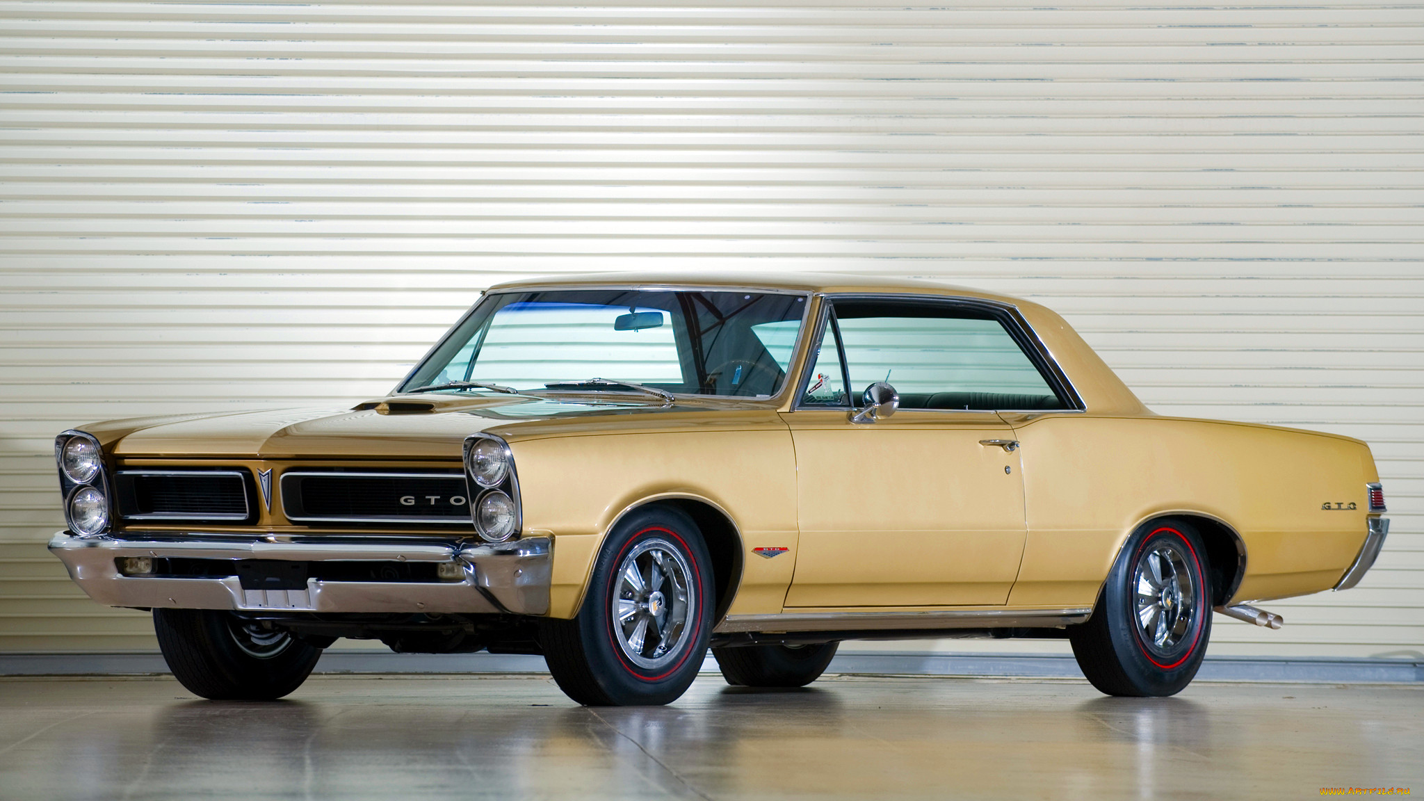 pontiac, gto, , , pontiac-gmc, division, 